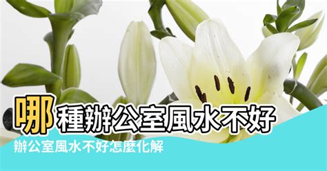 工作不順 風水